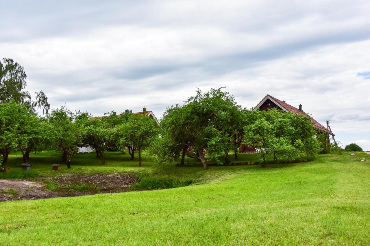 Sunny Beaver B&B Trakai Luaran gambar