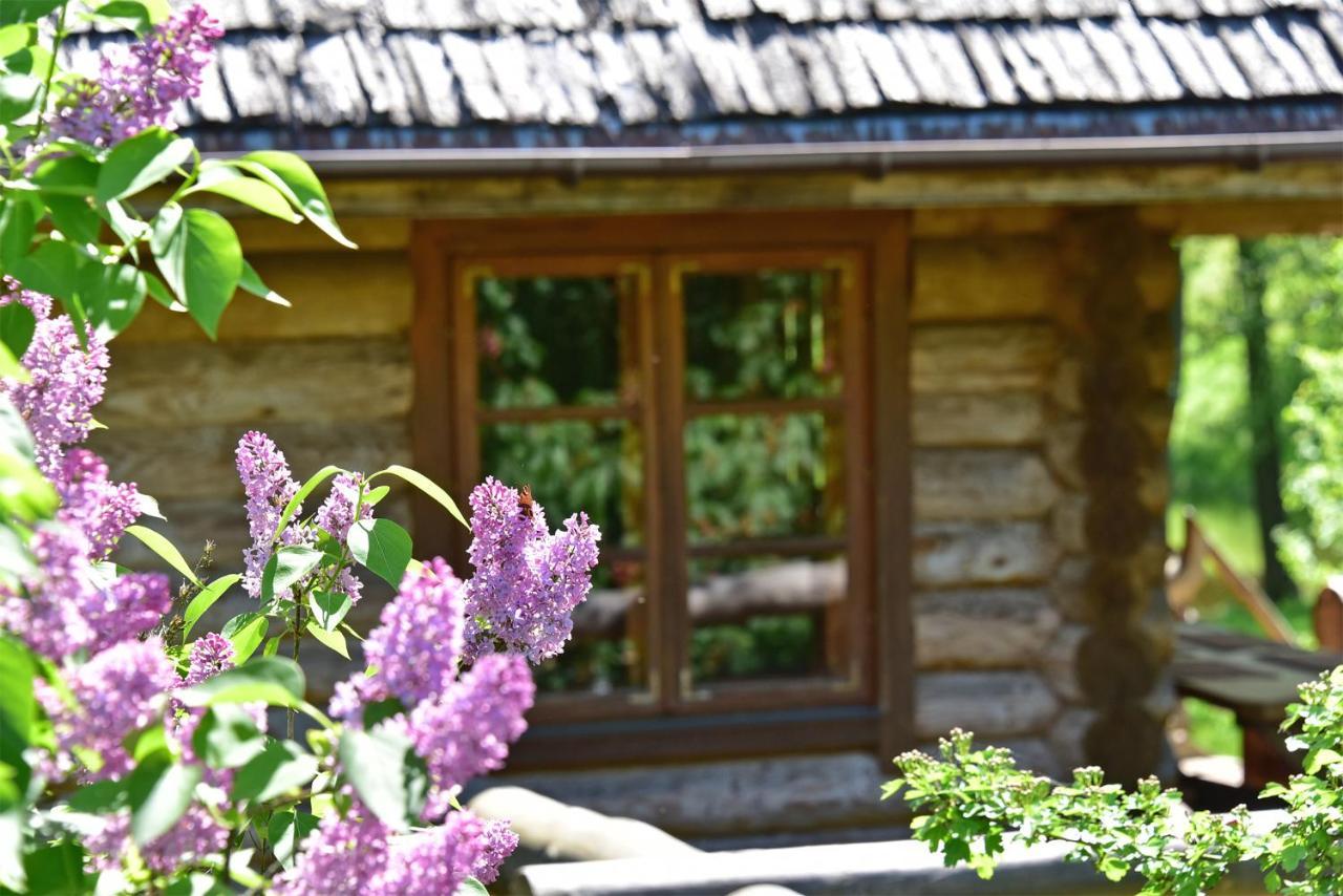 Sunny Beaver B&B Trakai Luaran gambar